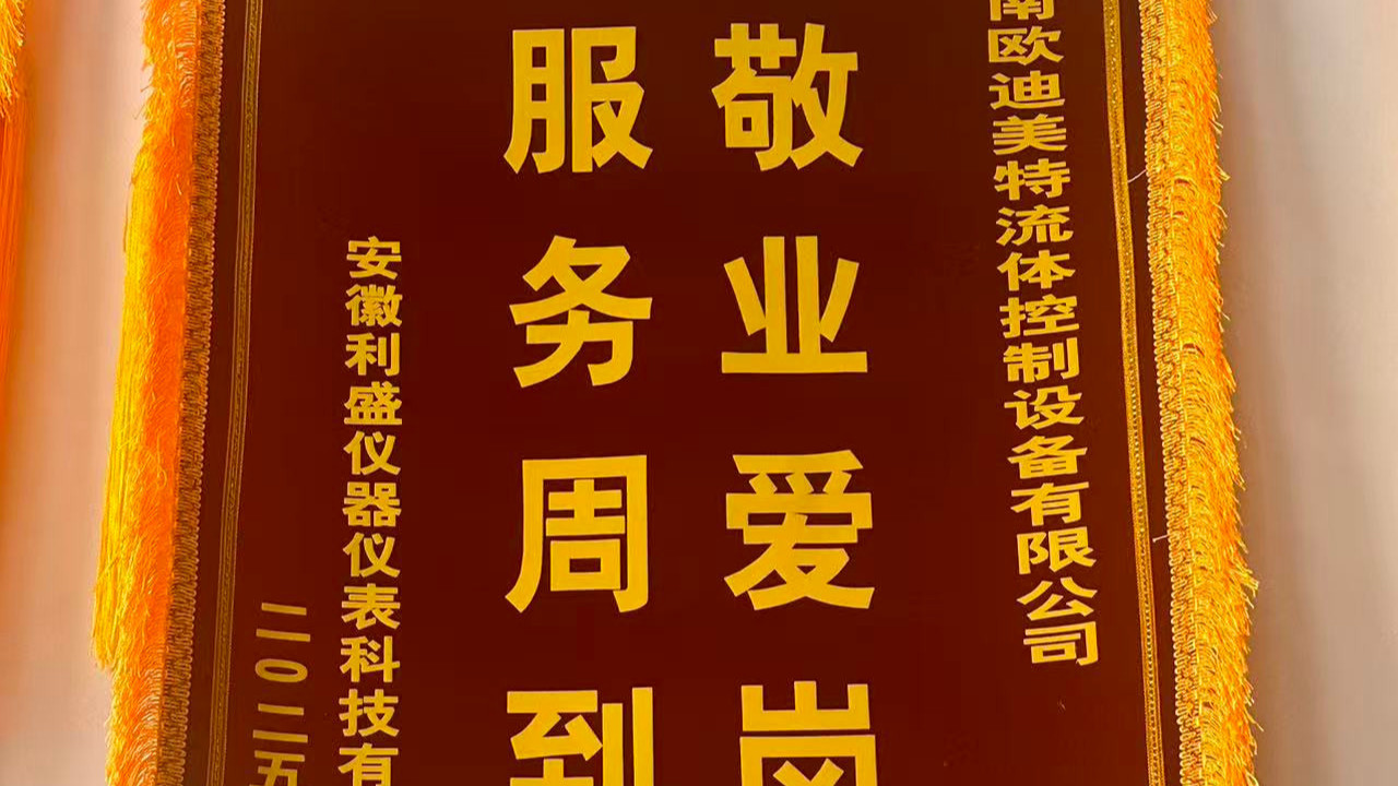 安徽利盛儀器儀表科技有限公司向我司贈(zèng)予錦旗！
